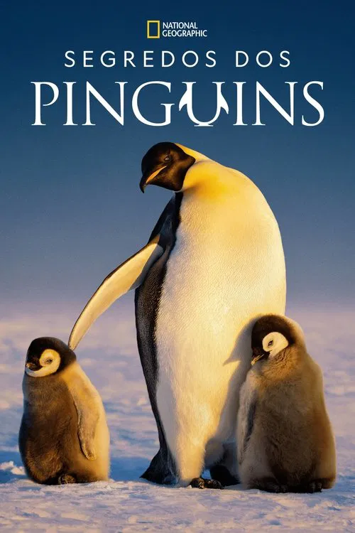Poster da série Segredos dos Pinguins
