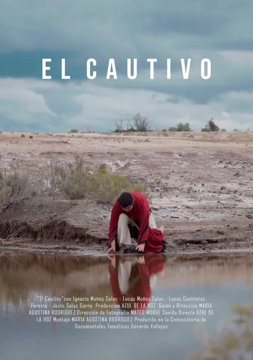 The Captive movie poster