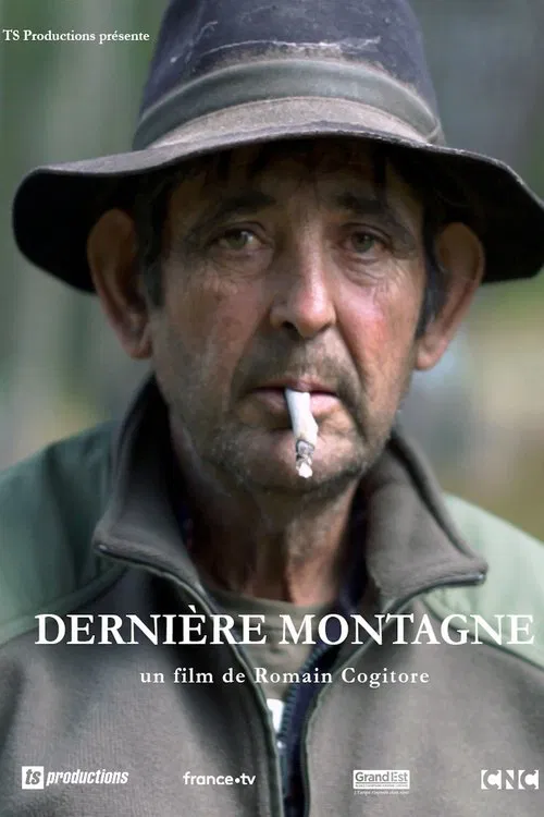 Last Mountain movie poster