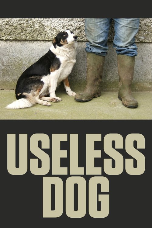 Useless Dog movie poster