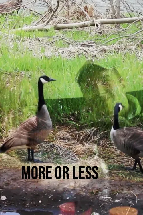 More or Less movie poster
