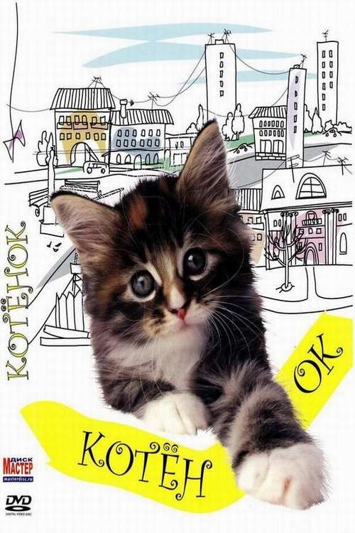 Kitty movie poster