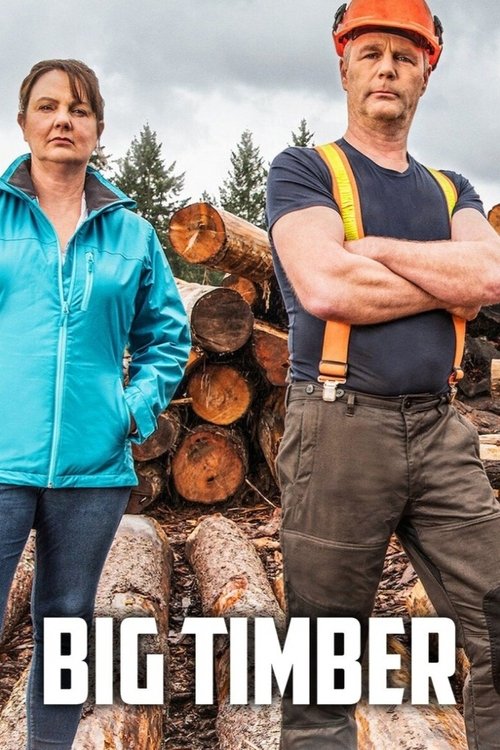 Big Timber tv show poster
