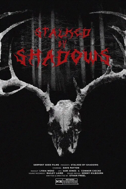 Stalked by Shadows movie poster