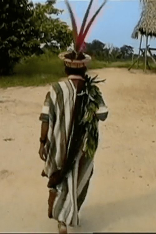 Shomõtsi movie poster