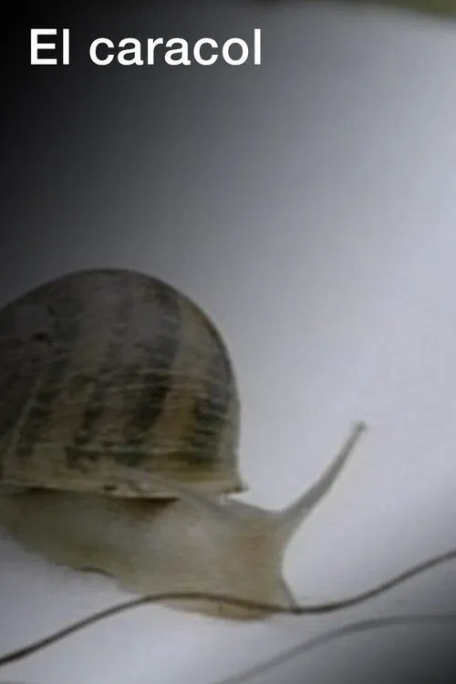 El caracol movie poster