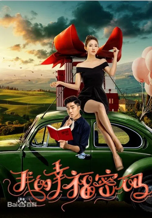 我的幸福密码 movie poster