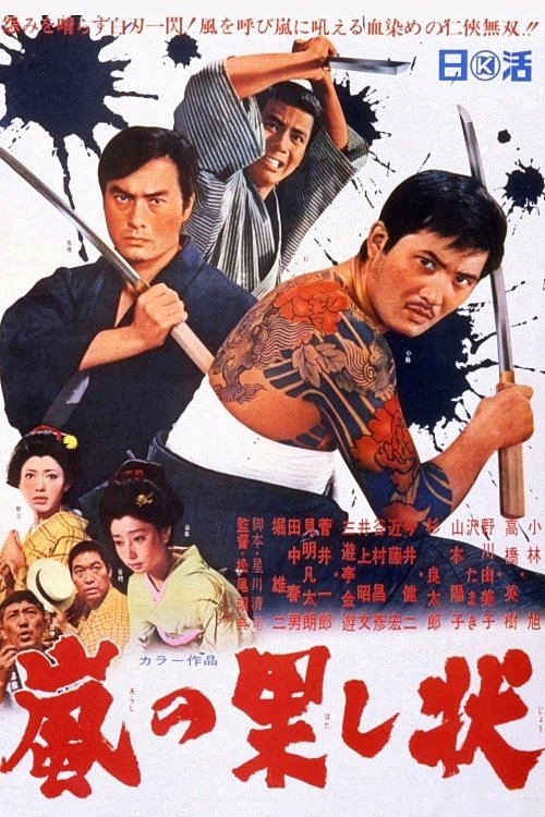 Duel in the Storm movie poster