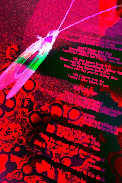 Observações do Dr. Cânhamo movie poster