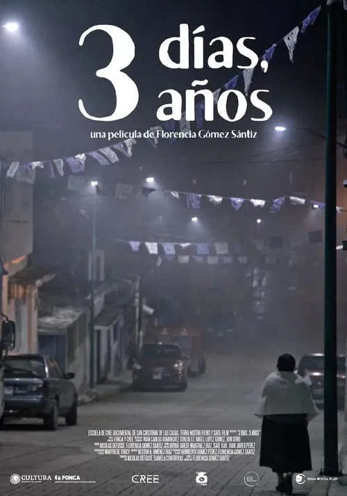 3 Days, 3 Years movie poster