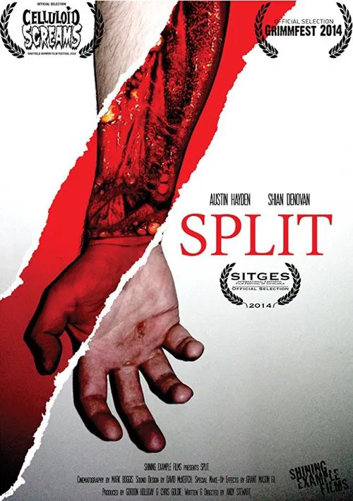 Split movie poster