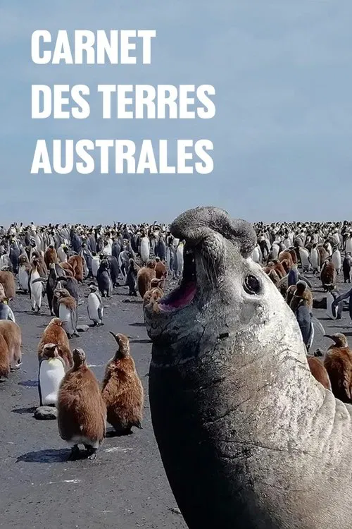 Poster do filme Carnet des Terres australes
