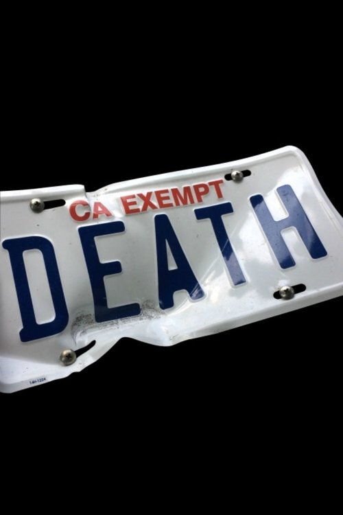 Government Plates movie poster