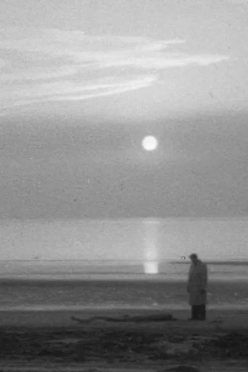 Falls the Shadow movie poster