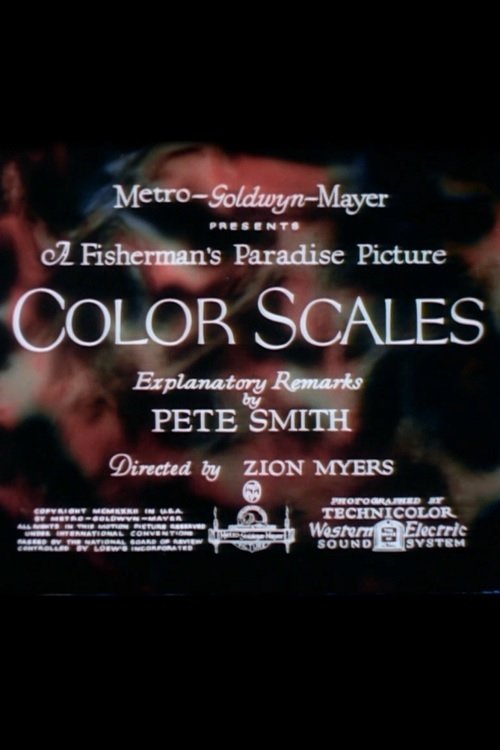 Color Scales movie poster