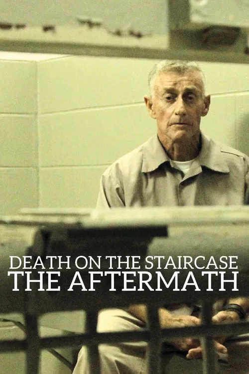 Death on the Staircase: The Aftermath movie poster
