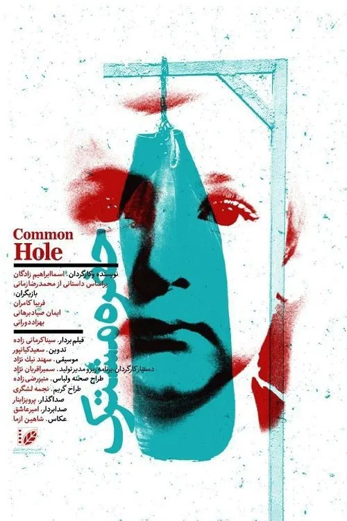 Poster do filme Common Hole