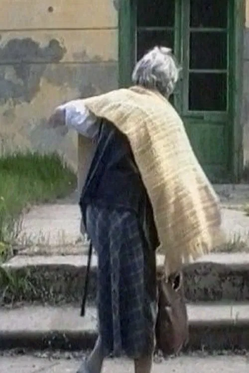 Poster do filme The Notebook of a Lady