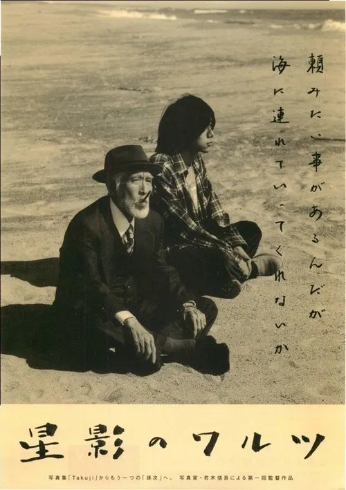 Poster do filme Waltz in Starlight