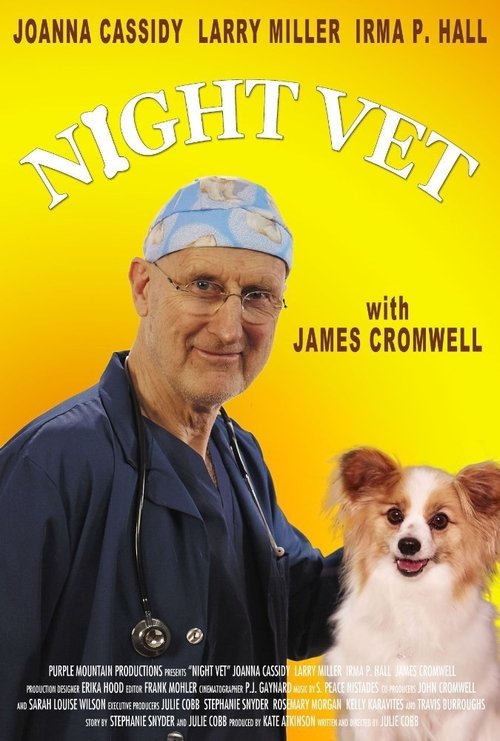 Night Vet movie poster
