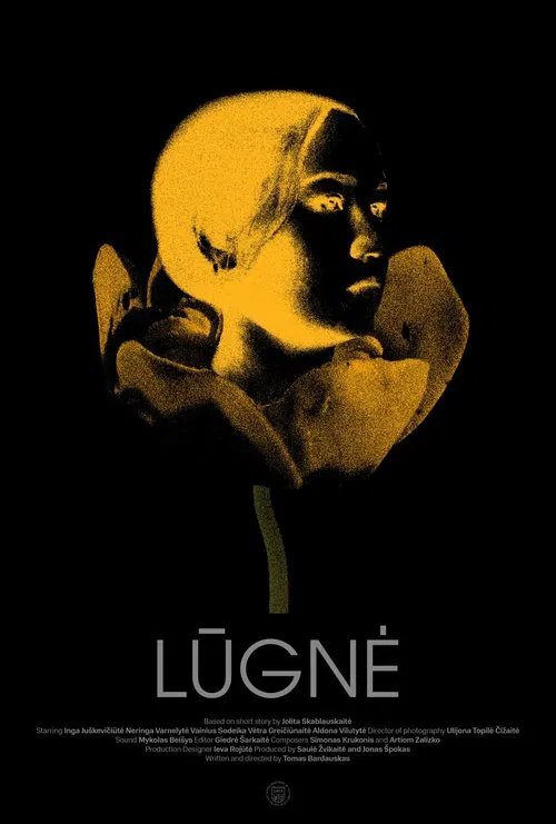 Poster do filme Lūgnė
