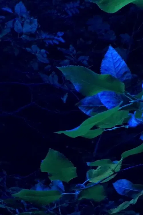 A Hand In Two Ways (Fisted) movie poster