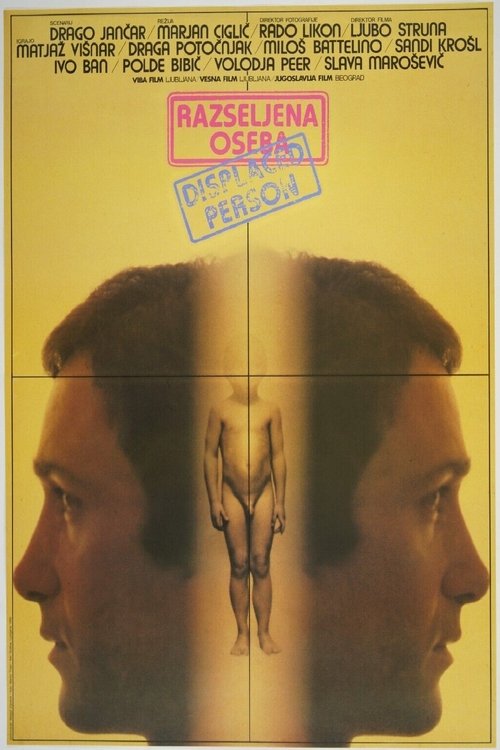 Displaced Person movie poster