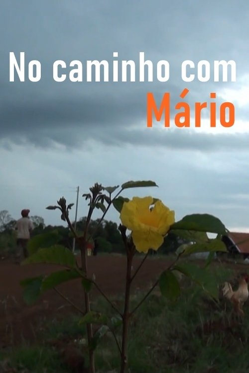 No Caminho com Mário movie poster