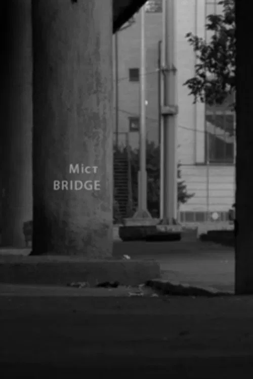 Bridge movie poster