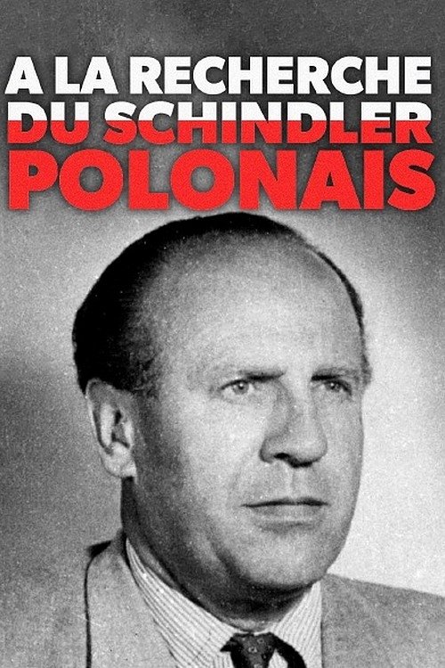 Poster do filme À la recherche du Schindler polonais