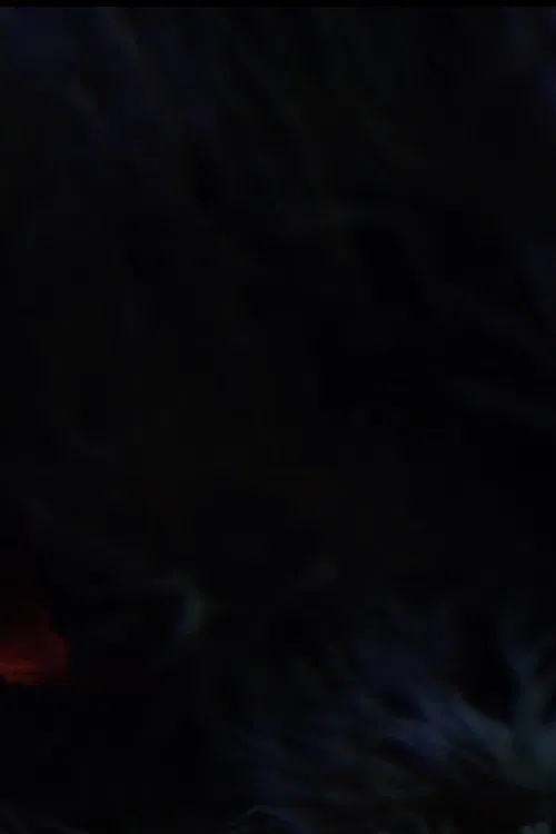 The Butterfly movie poster