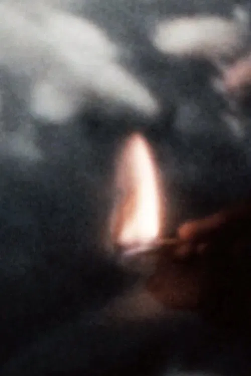 Narcolepsy movie poster