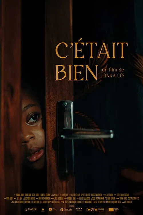 We Had Fun movie poster