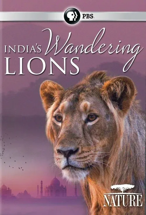 Poster do filme India's Wandering Lions