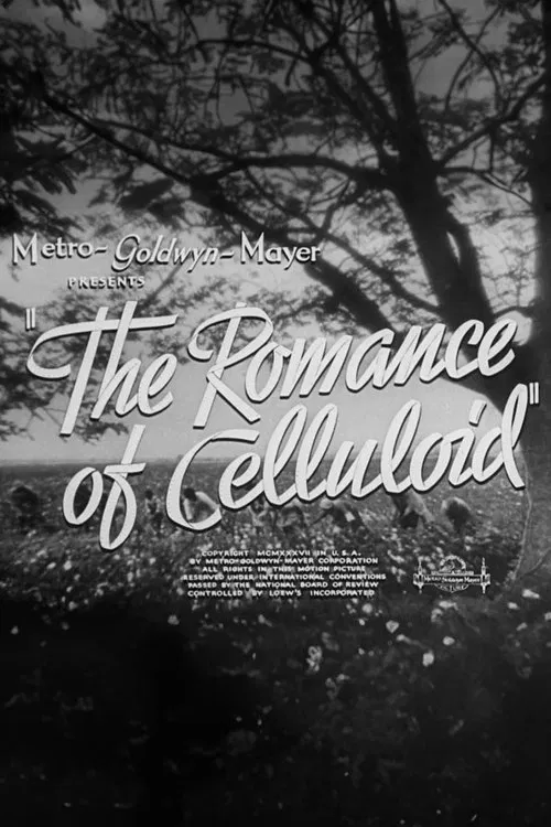 The Romance of Celluloid movie poster