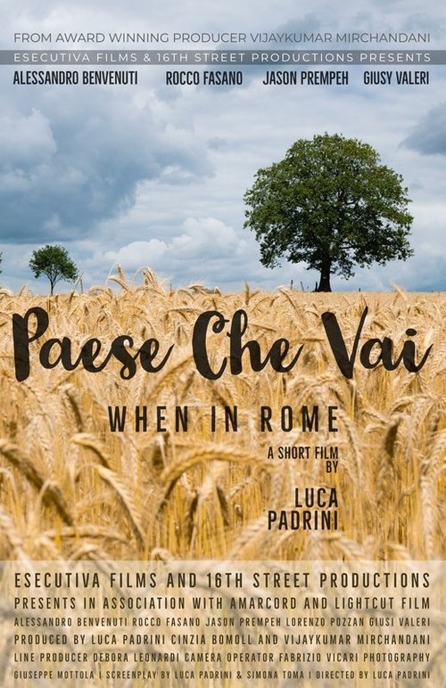 When in Rome movie poster