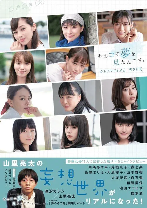 I Had a Dream of That Girl tv show poster