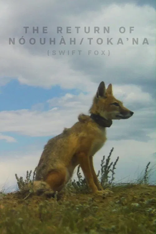 The Return of Nóouhàh-Toka’na movie poster