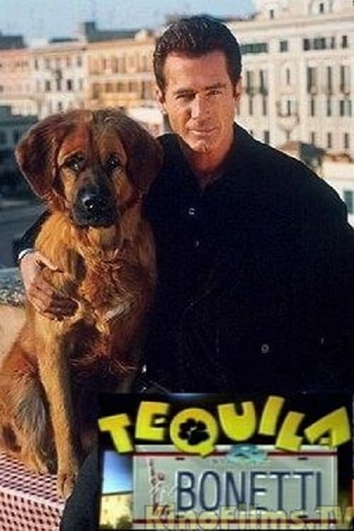 The New Adventures of Tequila & Bonetti tv show poster