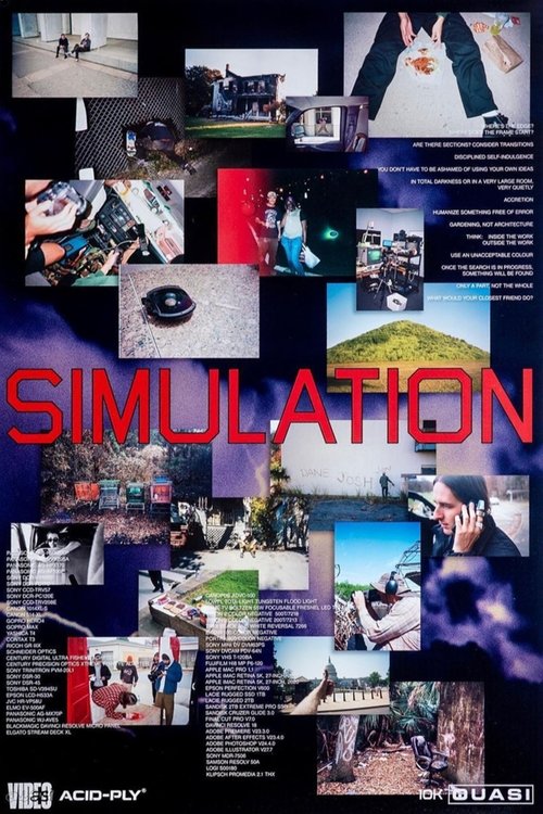 Simulation movie poster