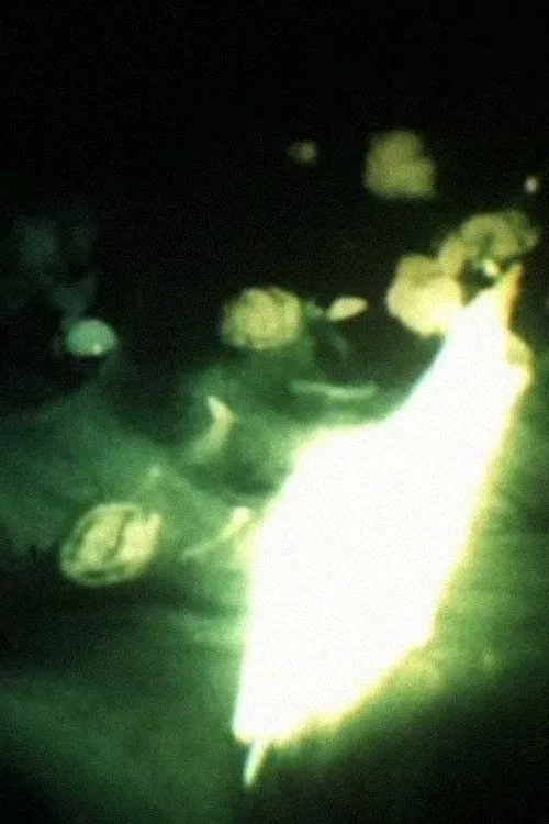Bermuda Triangle movie poster