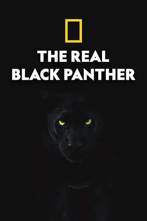 The Real Black Panther movie poster