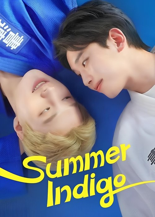 Summer Indigo tv show poster