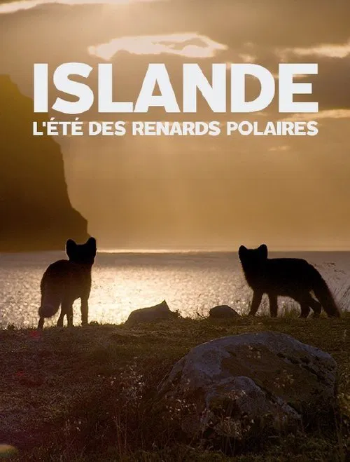 Islande, l’été Des Renards Polaires movie poster