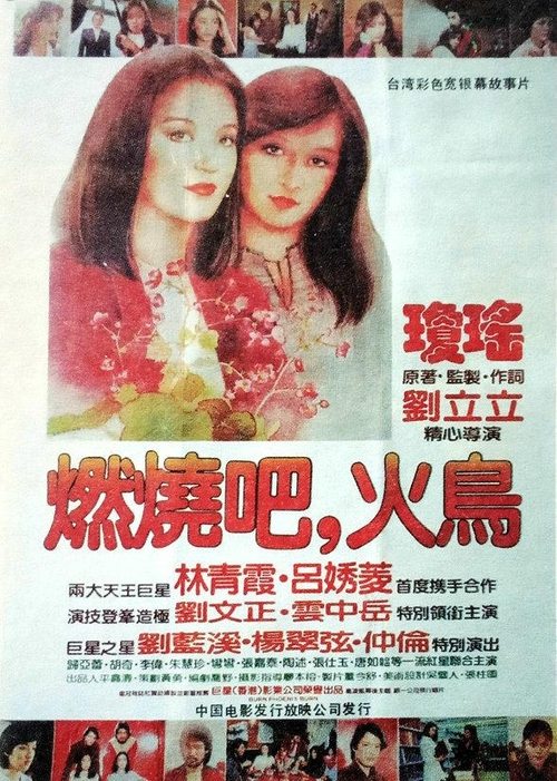 Burn Phoenix Burn movie poster