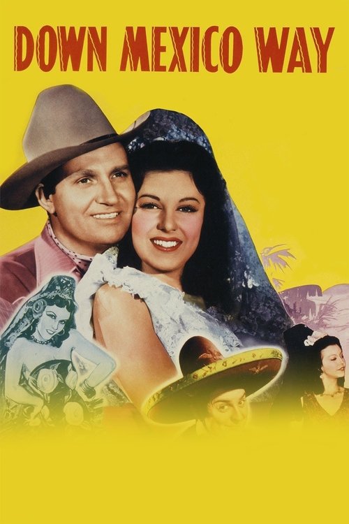 Down Mexico Way movie poster