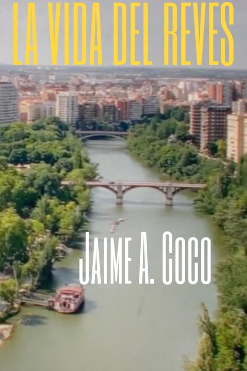 La vida del revés movie poster