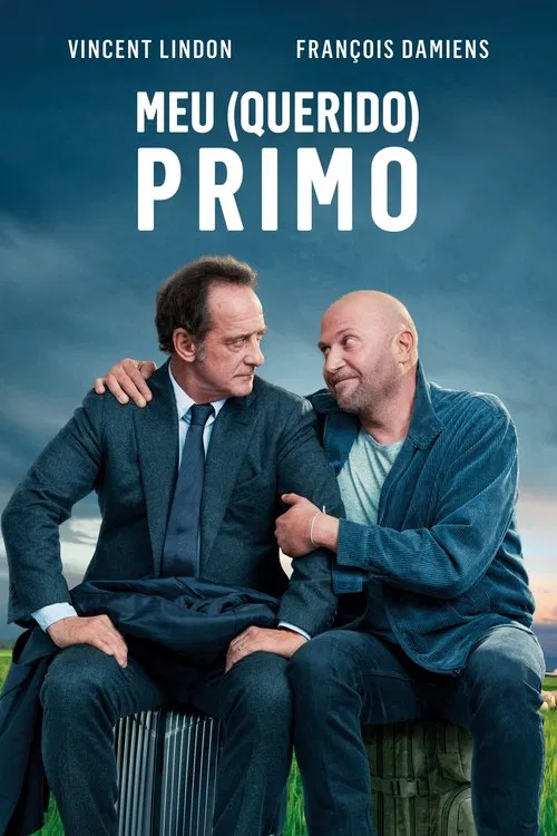 Poster do filme Meu (Querido) Primo