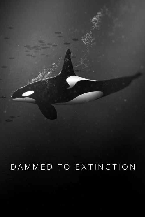 Dammed to Extinction movie poster