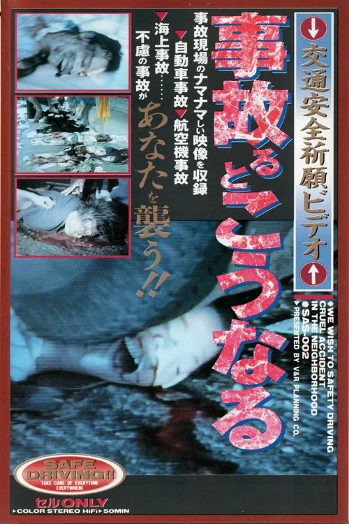 What Happens When You Have An Accident: Traffic Safety movie poster